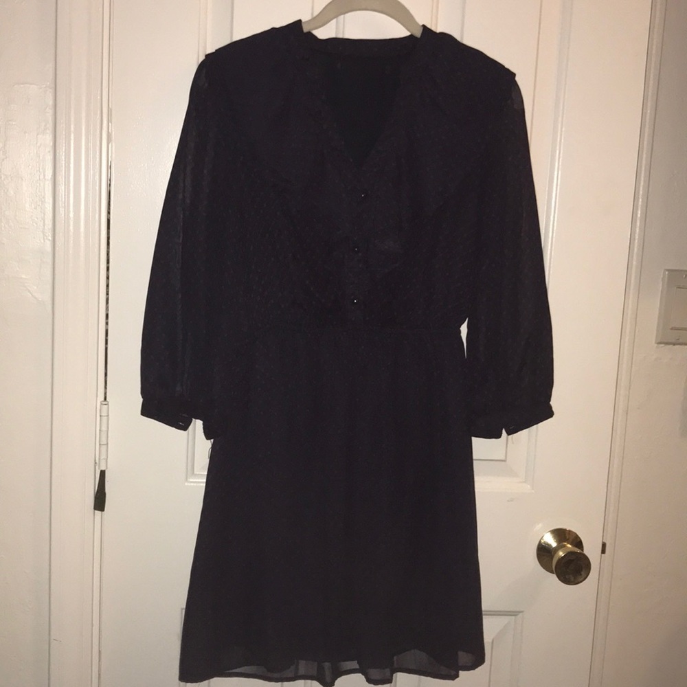 Beautiful Vintage sheer dress